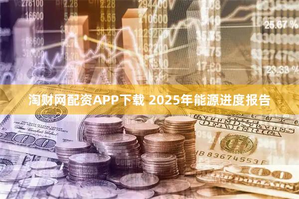 淘财网配资APP下载 2025年能源进度报告