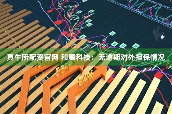 真牛所配资官网 和顺科技：无逾期对外担保情况