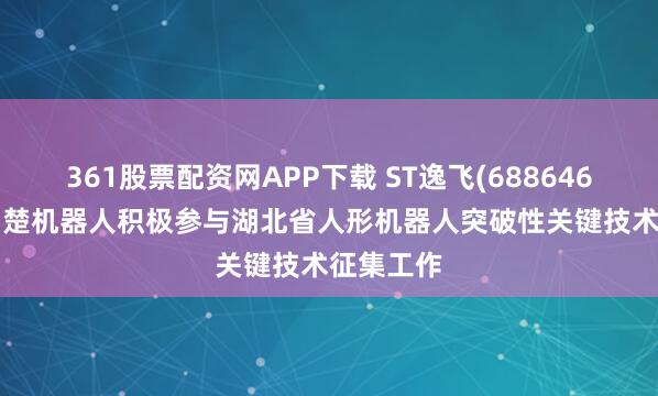 361股票配资网APP下载 ST逸飞(688646.SH)：荆楚机器人积极参与湖北省人形机器人突破性关键技术征集工作